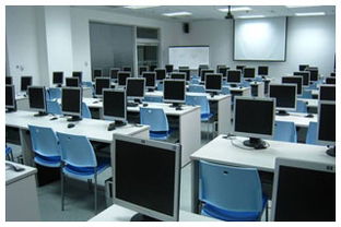 探究大连东软睿道实训在软件开发领域的表现