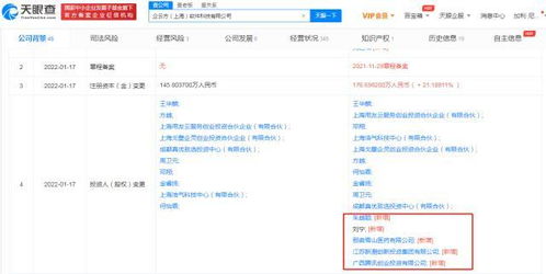 信息系统集成服务的核心价值与发展趋势