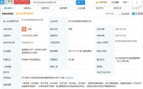 蚂蚁集团成立云裕鸿启科技，13亿加码信息系统集成服务